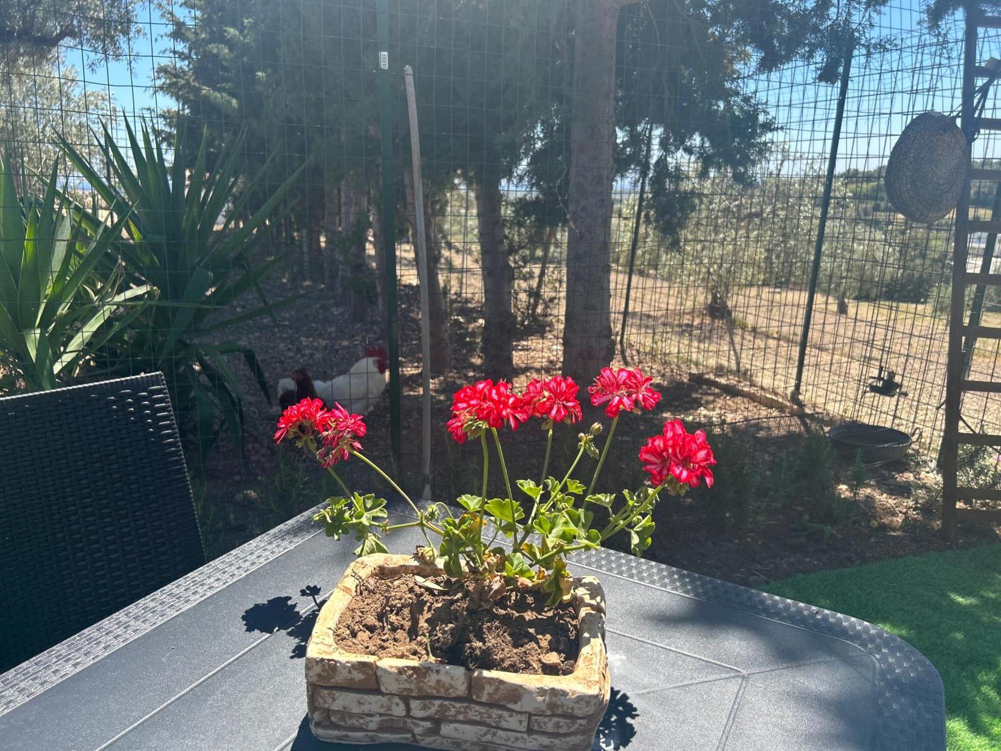 Hébergement de vacances 
